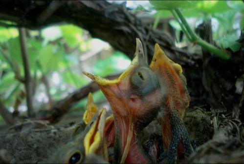 ������������