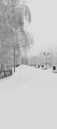 ������ �����