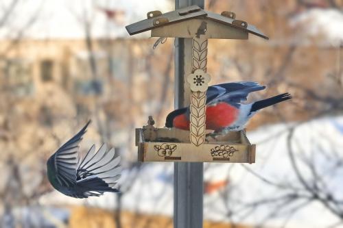 �������� �������. 