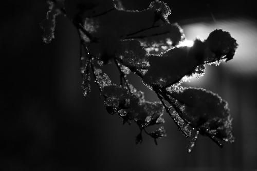 ��������� ���������