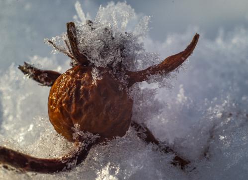 � �������� ����