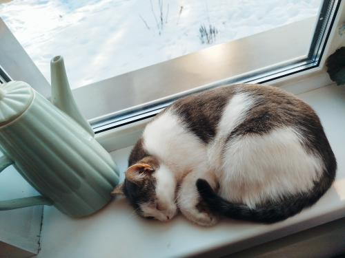 ���������� � ������