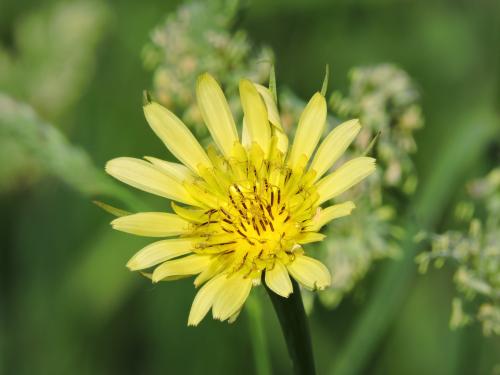 �������������