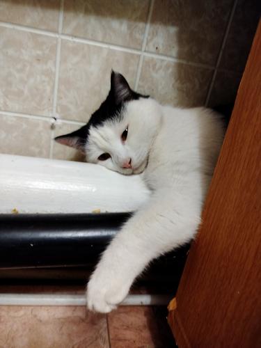 ���� �������