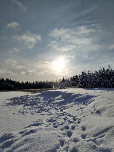 1 ������ 2026����.