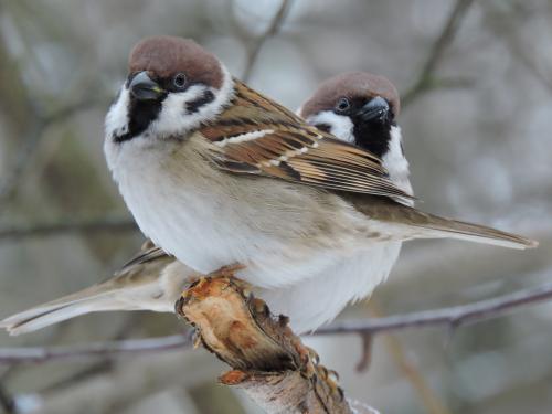 �������