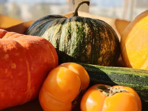 ������ �����