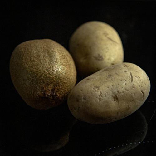 ���� ����, ������� ������  