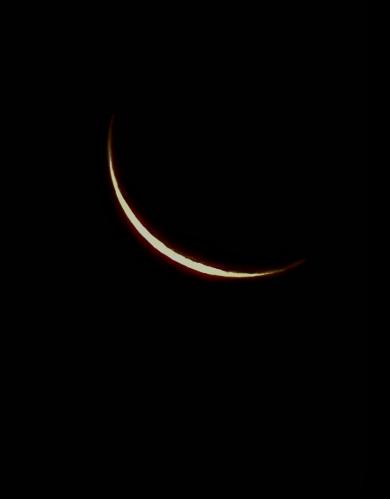 ��������� ��������. �������� 24�.