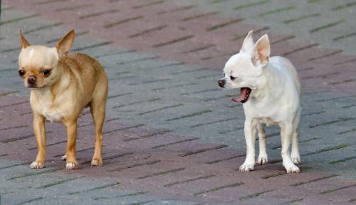 �������� �� ���������� �����