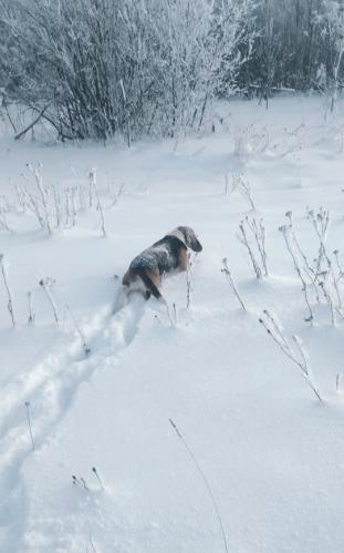 �� �����! 