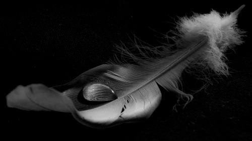 ����� �� ����