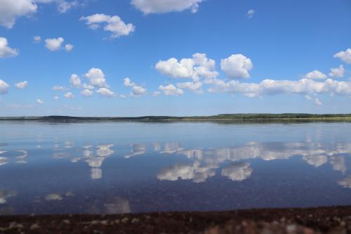 ����� ��������