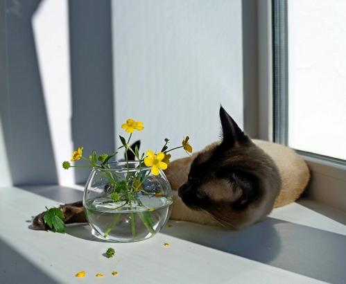 ����� �� ����