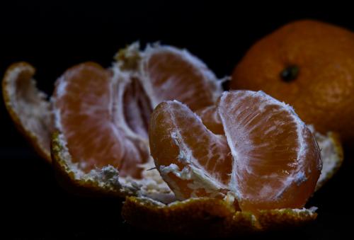 ������������ ��������������