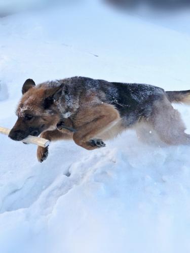 �������� � 40��������