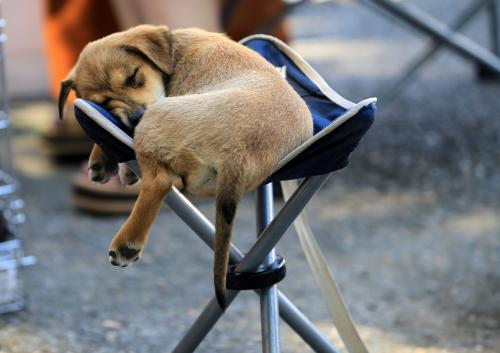 � ����� ���� ��� ��������