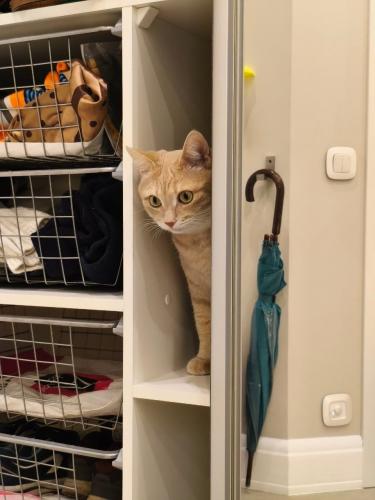 ��� � �����