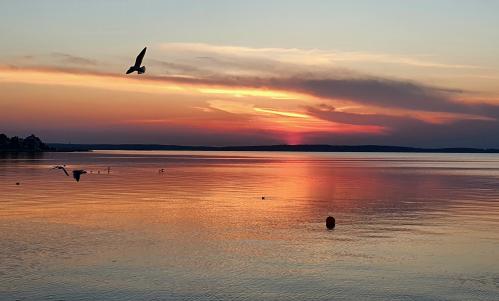 ����� ��  �������� ����� 