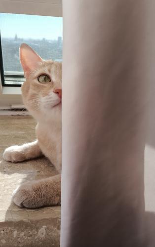 �� ������