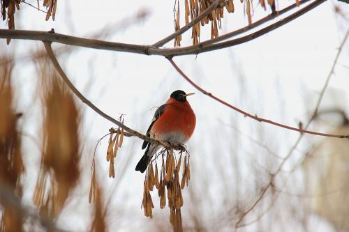 �������