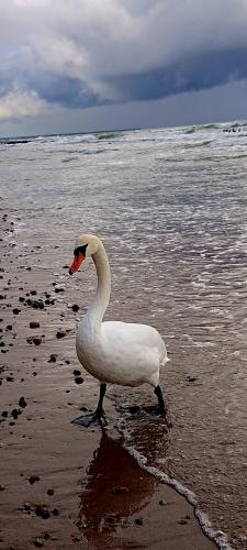 ���� -�����