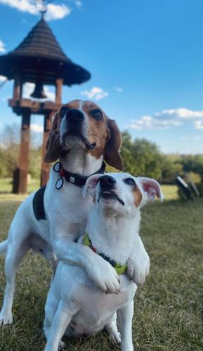 ��� ����