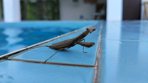 ������� � ��������