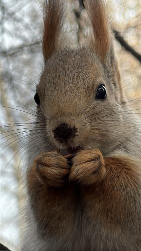 �������