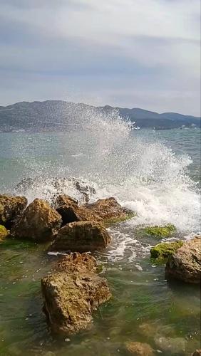 �� ������ ���� !