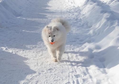 ������ ����� ������.