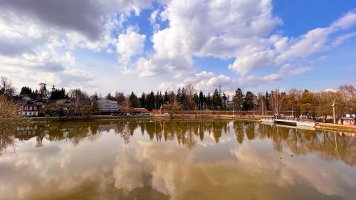 ���� � ���������