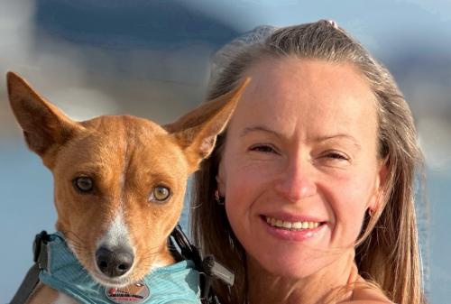 � ������� �� ��������