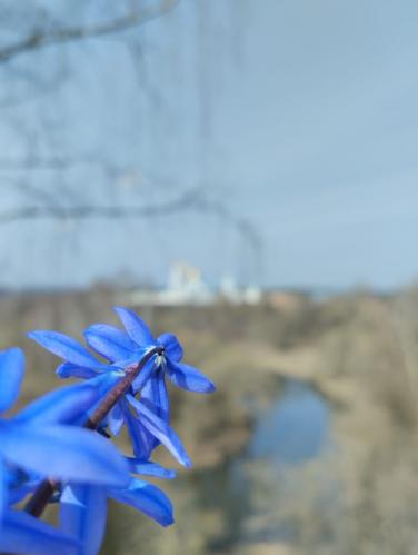 �������� �����