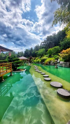 �������� ���