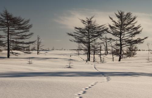 �� ������ �����