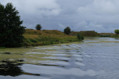 �������� . ����  ������� .