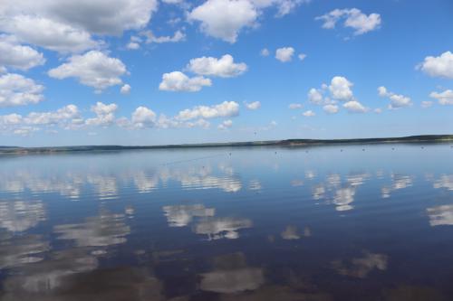 ����� ��������