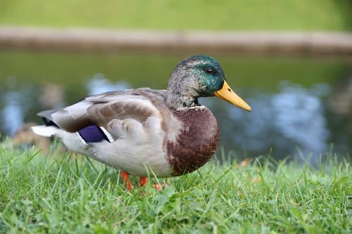 �������� ������