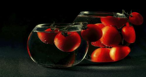 ���������.