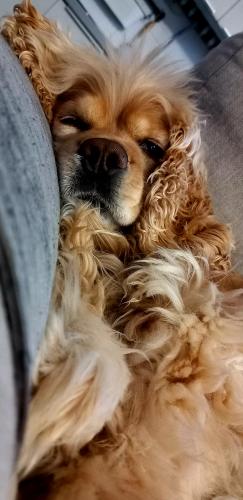 ������������