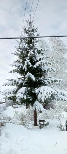 ���������� ���