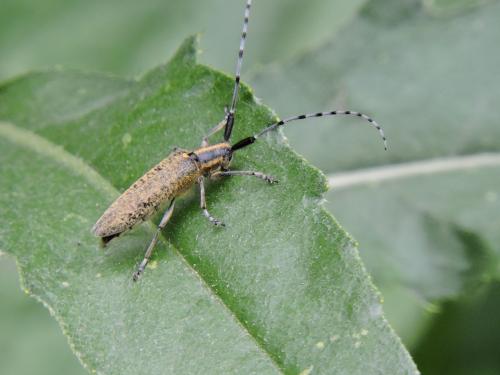 ���������������� ����