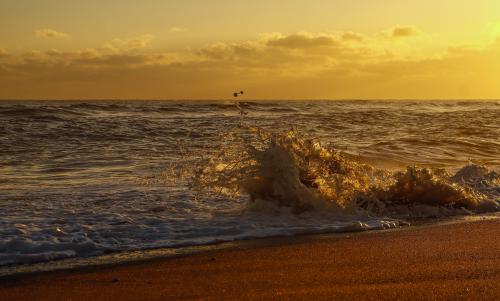 ���� ��������� �������