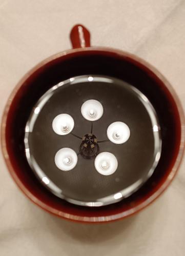 ������ � �����