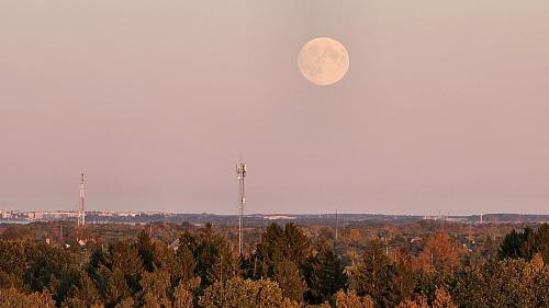 ������� ����������