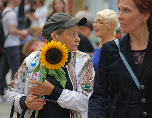 � �����������