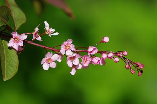 �������� �����