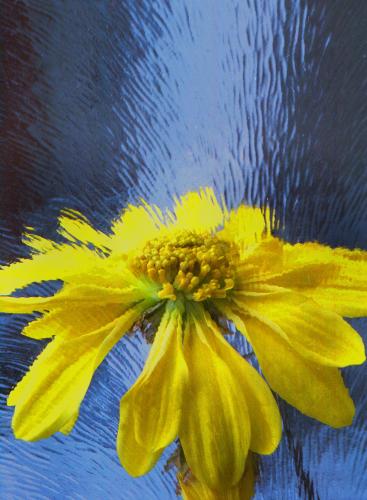 ��� ����� �����