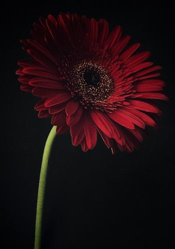 ��������� ������� 